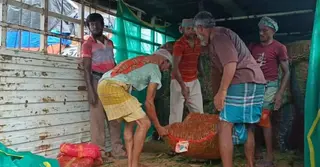 হিলি স্থলবন্দর দিয়ে কাঁচা মরিচ আমদানি শুরু, কমেছে দাম